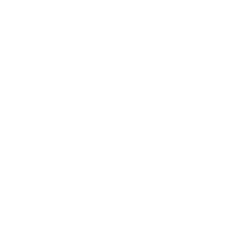 The Fun Aunty