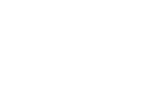 The Fun Aunty